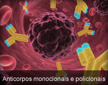 Anticorpos monoclonais e policlonais